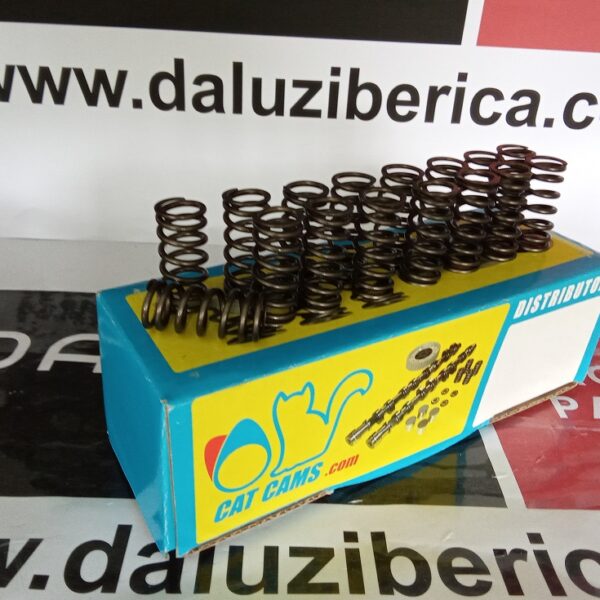 PAC-I19865 – Mola de Válvula PAC-I19865 – Interior / Gold